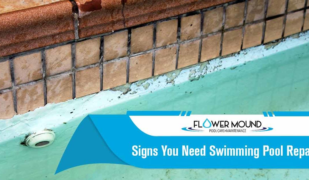 Signs You Need Swimming Pool Repair