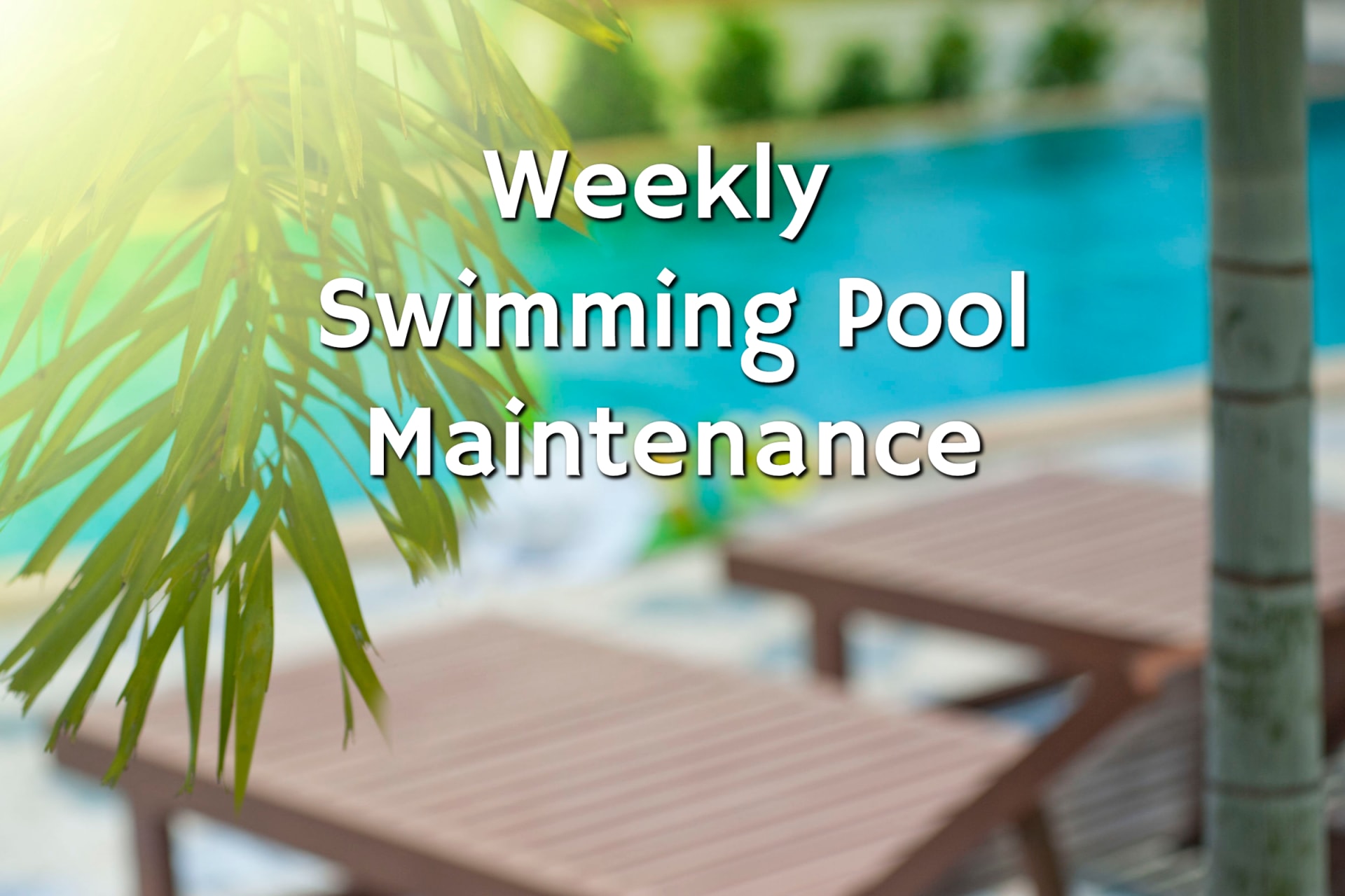 A Beginner’s Guide to Swimming Pool Maintenance